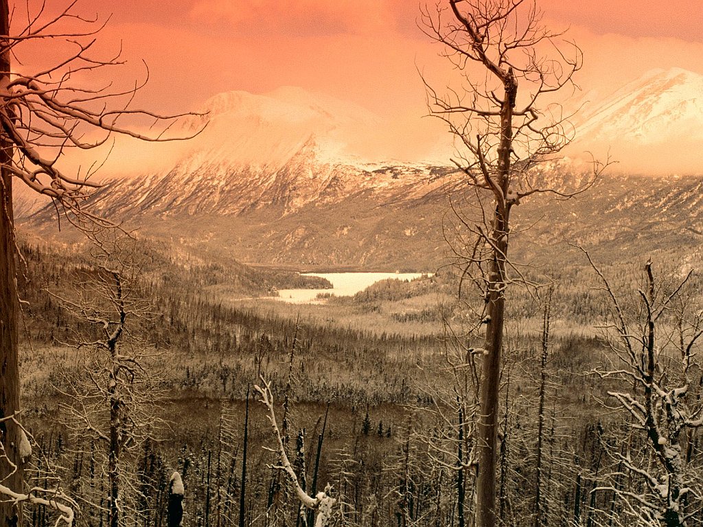 Winter Embraced, Skilak Lake, Kenai Peninsula, Alaska